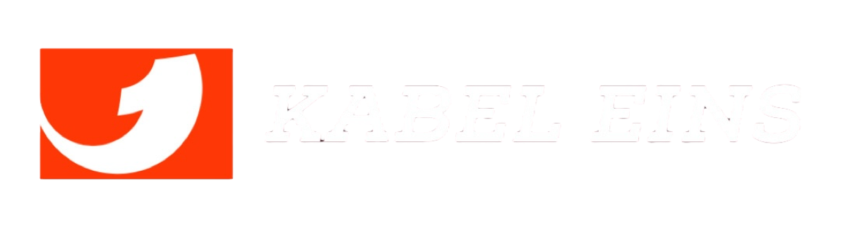 Kabel eins, Abendteuer Leben, Geri war in Nashville auf der Suche nach den besten Ribs,...