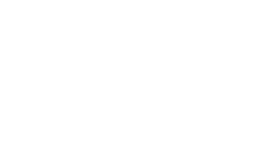 Pizzaprofi, Pizzaofen, bester Pizzaofen, Alfa Ofen, 